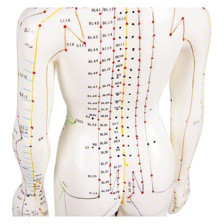 Akupunkturfigur weiblich, 45 cm