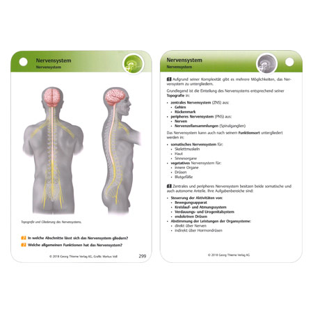 physioLernkarten - Physiologie für Physiotherapeuten, 415 Karten