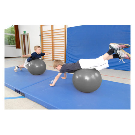 ARTZT vitality Fitness-Ball Professional, ø 45 cm