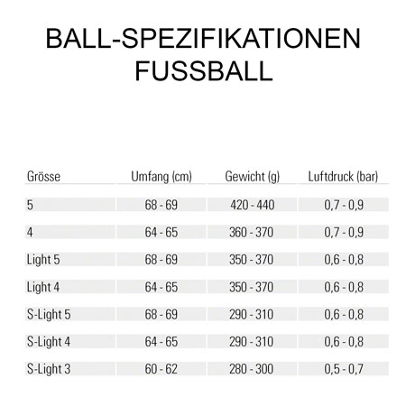 Derbystar Fußball Bundesliga Brillant Replica Light v23