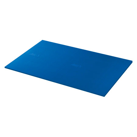 AIREX Gymnastikmatte Hercules, LxBxH 200x100x2,5 cm