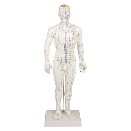 Akupunkturfigur männlich, 45 cm