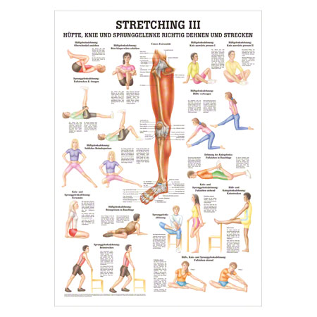 Lehrtafel Stretching III, LxB 100x70 cm