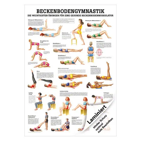 Mini-Poster Beckenbodengymnastik, LxB 34x24 cm