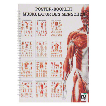 Mini-Poster Booklet Muskulatur des Menschen, LxB 34x24 cm, 12 Poster