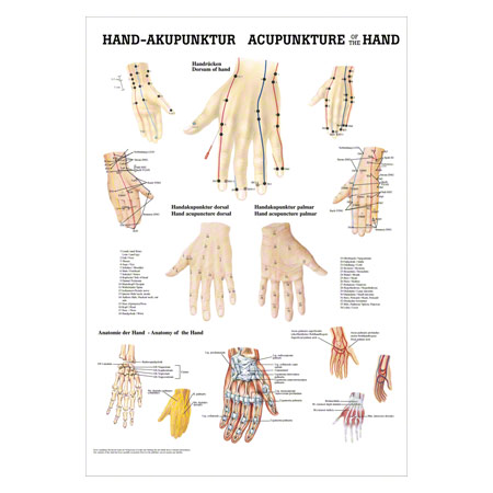 Mini-Poster Hand-Akupunktur, LxB 34x24 cm