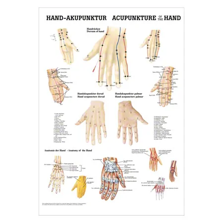 Mini-Poster Hand-Akupunktur, LxB 34x24 cm