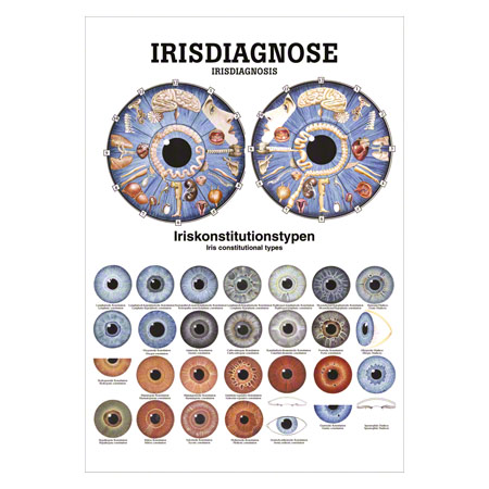 Mini-Poster Irisdiagnose, LxB 34x24 cm
