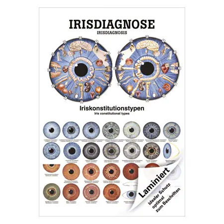 Mini-Poster Irisdiagnose, LxB 34x24 cm