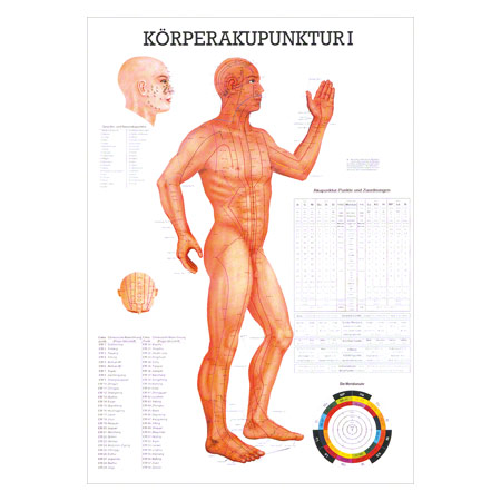 Mini-Poster Körperakupunktur I, LxB 34x24 cm