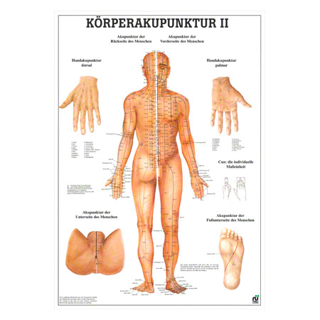 Mini-Poster Körperakupunktur II, LxB 34x24 cm