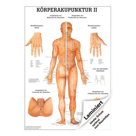Mini-Poster Krperakupunktur II, LxB 34x24 cm