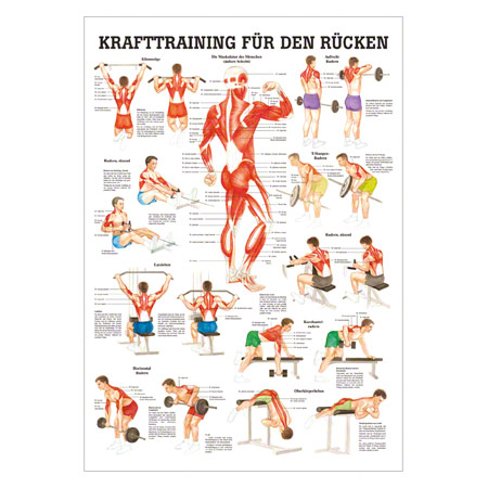 Mini-Poster Krafttraining Rcken, LxB 34x24 cm