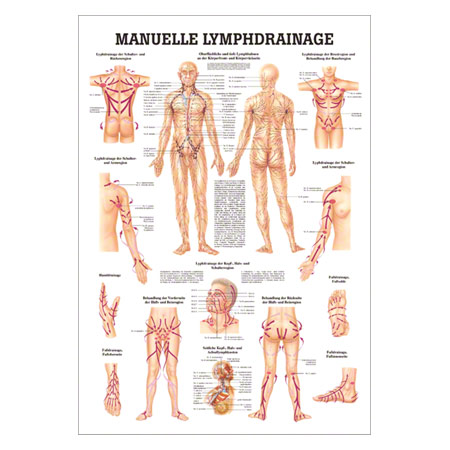 Mini-Poster Manuelle Lymphdrainage, LxB 34x24 cm