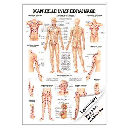 Mini-Poster Manuelle Lymphdrainage, LxB 34x24 cm