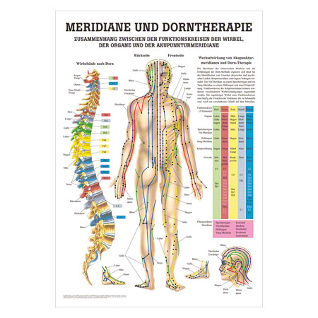 Mini-Poster Meridiane u. Dorn, LxB 34x24 cm