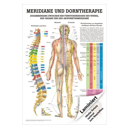 Mini-Poster Meridiane u. Dorn, LxB 34x24 cm