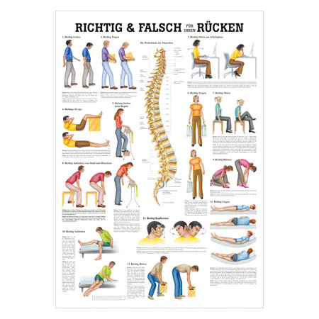 Mini-Poster Richtig u. falsch für Ihren Rücken, LxB 34x24 cm