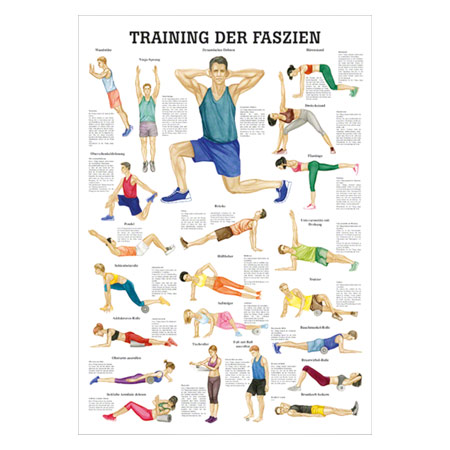 Mini-Poster Training der Faszien, LxB 34x24 cm