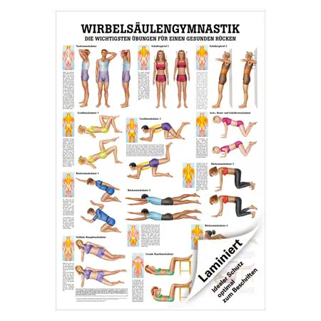 Mini-Poster Wirbelsulengymnastik, LxB 34x24 cm