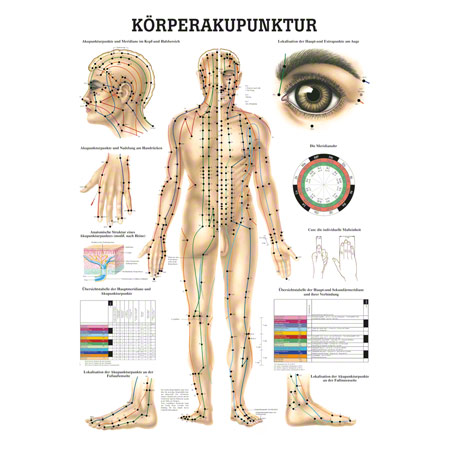 Poster Körperakupunktur, LxB 70x50 cm