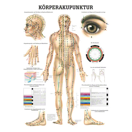 Poster Krperakupunktur, LxB 70x50 cm