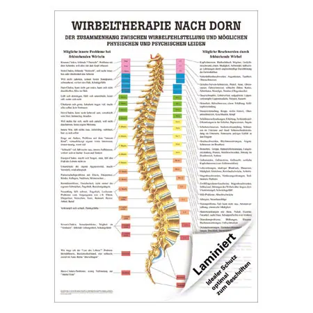 Poster Wirbeltherapie nach Dorn, LxB 70x50 cm