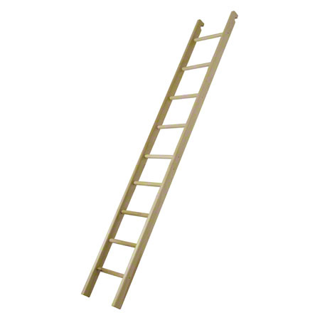 Turnleiter für Sprossenwand, LxB 240x35 cm, 11 Sprossen